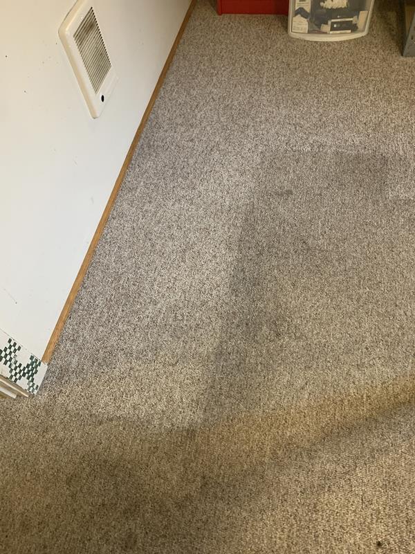 Collins Carpet Cleaning, L.L.C. Mukwonago, WI